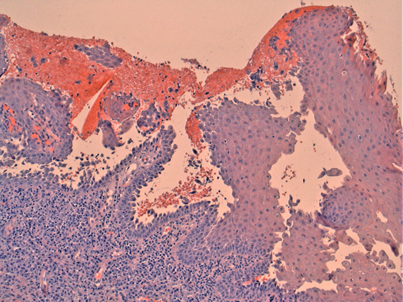 Path Image